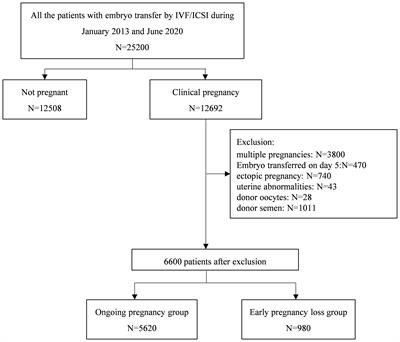 Independent value of serum β-human chorionic gonadotropin in predicting early pregnancy loss risks in IVF/ICSI cycles